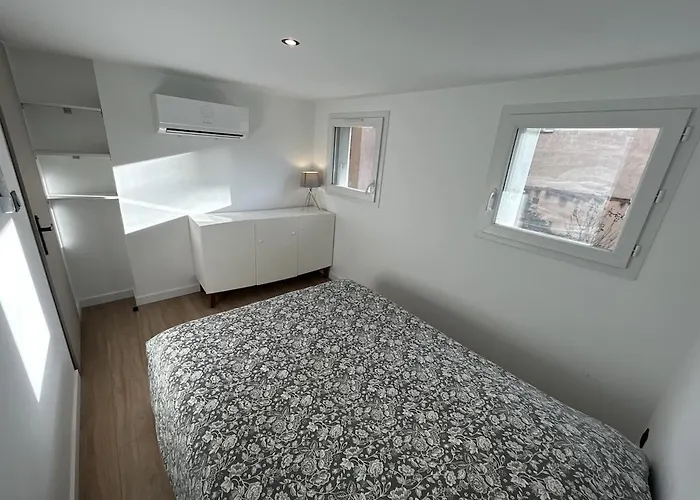 Duplex Renove, Clim, Terrasse, 6p Tuluza